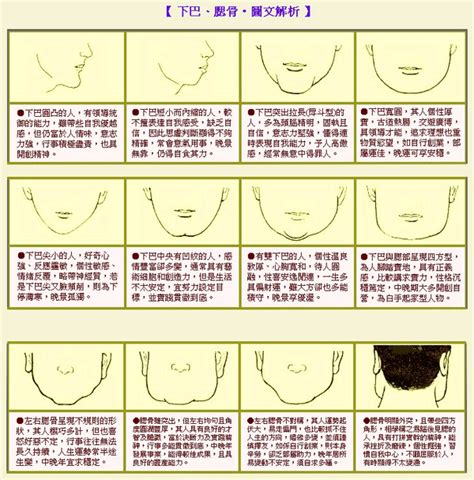 長下巴面相|面相大全——下巴